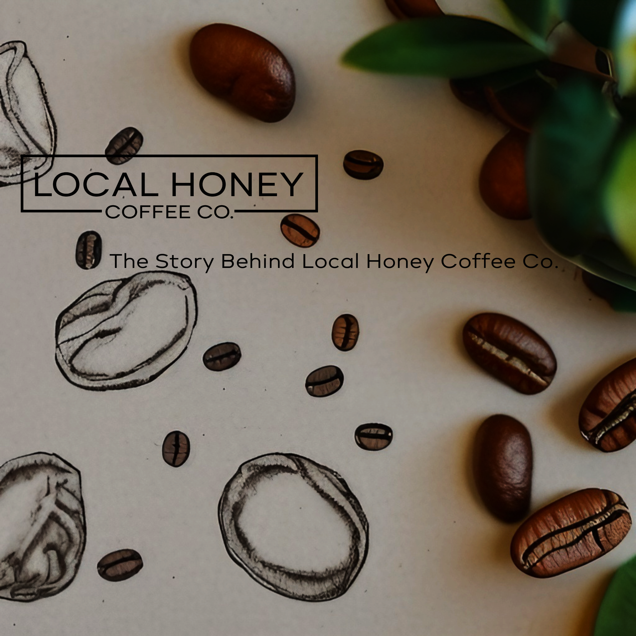 The Story Behind Local Honey Coffee Company: Where Art and Coffee Come Together